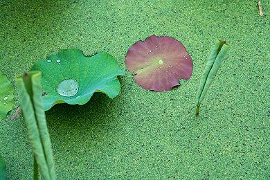 《永恒天空》重大更新 多人联机模式12月9日上线